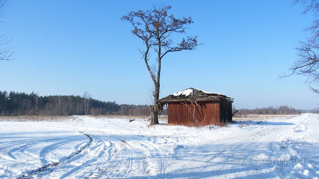 Barnolkistodola.jpg - Barn