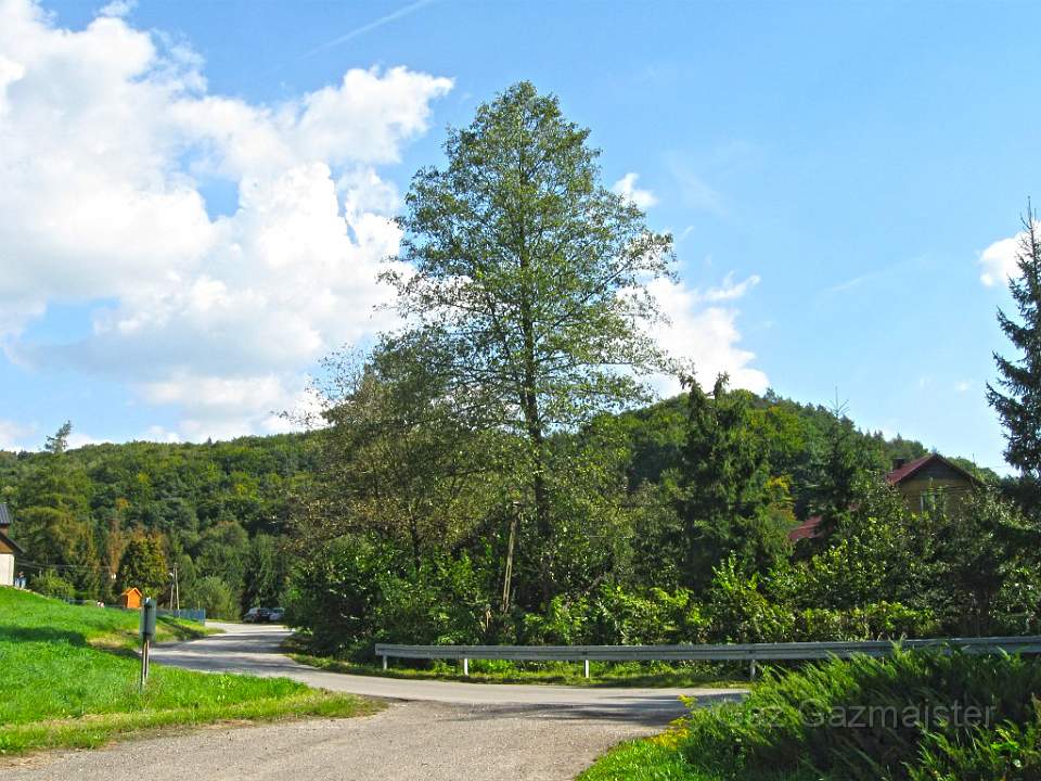 MnikowskaValley.jpg - The Mnikowska Valley