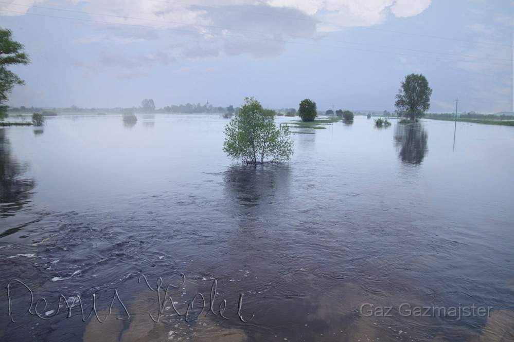 denisg.jpg - Flooding in southern Poland, a village Gidle view from the bridge