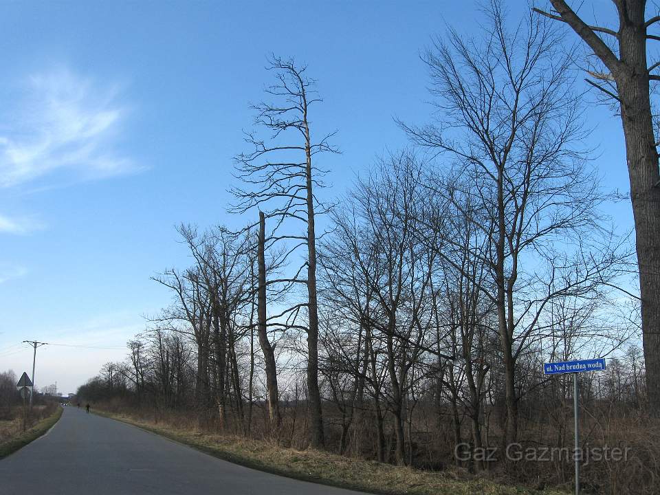 z1.jpg - Bulwary nad Brudną Wodą