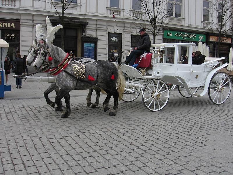 IMG_0009.JPG - Horse car