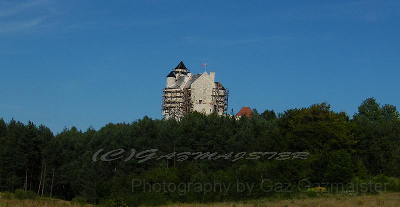 Panint.jpg - Space Building in the forest